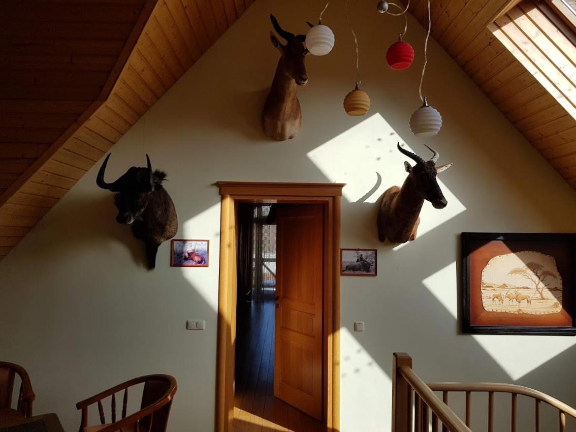 Apartamentai Hunter House Druskininkai Eksteriør billede